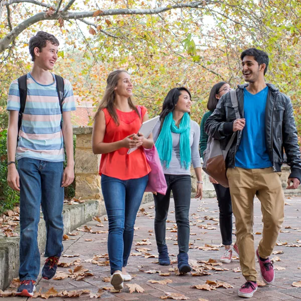 Discover Your Best Pathway Before Spending a Dollar